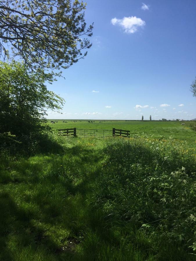 Lekerweg 32 Daire Wijdenes Dış mekan fotoğraf